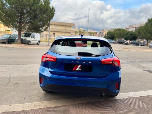 Auto - Ford focus 1.5 ecoblue 95cv 5p. business