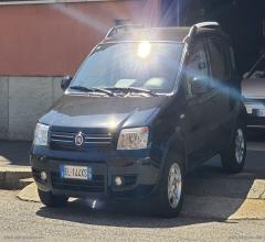 Auto - Fiat panda 1.3 mjt 16v 4x4