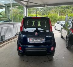 Auto - Fiat panda 1.0 firefly s&s hybrid city life