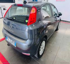 Auto - Fiat punto 1.4 8v 5p. easypower lounge gpl
