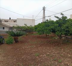 Appartamenti in Vendita - Casa indipendente in vendita a custonaci centro storico