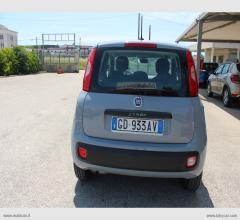 Auto - Fiat panda 1.2 easy