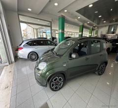 Auto - Fiat panda 1.0 firefly s&s hybrid city life