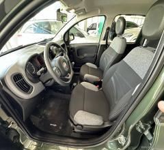 Auto - Fiat panda 1.0 firefly s&s hybrid city life