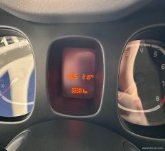 Auto - Fiat panda 1.0 firefly s&s hybrid city life