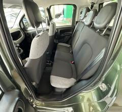 Auto - Fiat panda 1.0 firefly s&s hybrid city life