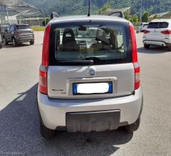Auto - Fiat panda 1.2 60cv bz 4x4 climbing