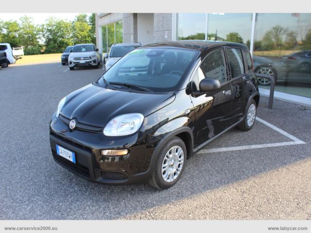 Auto - Fiat panda 1.0 firefly s&s hybrid pandina
