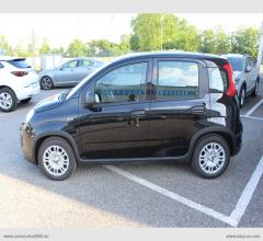 Auto - Fiat panda 1.0 firefly s&s hybrid pandina