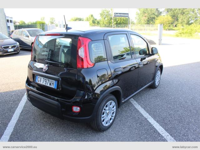 Auto - Fiat panda 1.0 firefly s&s hybrid pandina