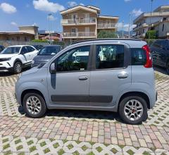 Auto - Fiat panda 1.2 easypower lounge