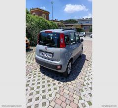 Auto - Fiat panda 1.2 easypower lounge