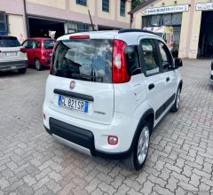 Auto - Fiat panda 1.0 firefly s&s hybrid city life