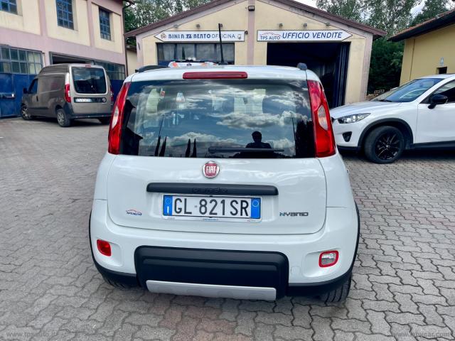 Auto - Fiat panda 1.0 firefly s&s hybrid city life