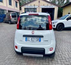 Auto - Fiat panda 1.0 firefly s&s hybrid city life