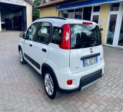 Auto - Fiat panda 1.0 firefly s&s hybrid city life
