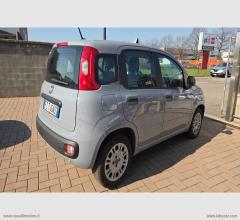 Auto - Fiat panda 1.2 easypower easy