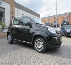 Fiat panda 1.0 firefly s&s hybrid city life