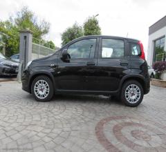 Auto - Fiat panda 1.0 firefly s&s hybrid city life