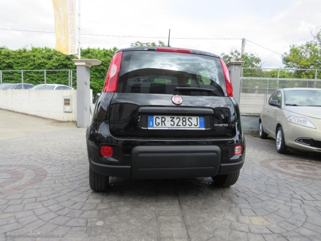 Auto - Fiat panda 1.0 firefly s&s hybrid city life