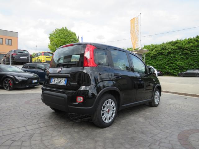 Auto - Fiat panda 1.0 firefly s&s hybrid city life