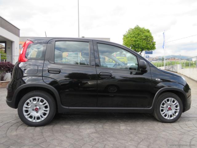 Auto - Fiat panda 1.0 firefly s&s hybrid city life