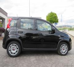 Auto - Fiat panda 1.0 firefly s&s hybrid city life