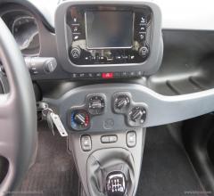 Auto - Fiat panda 1.0 firefly s&s hybrid city life