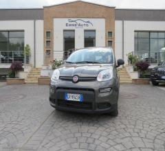 Auto - Fiat panda 1.0 firefly s&s hybrid city life