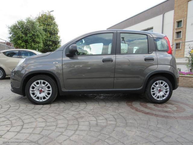 Auto - Fiat panda 1.0 firefly s&s hybrid city life