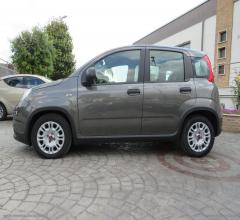 Auto - Fiat panda 1.0 firefly s&s hybrid city life
