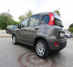Auto - Fiat panda 1.0 firefly s&s hybrid city life