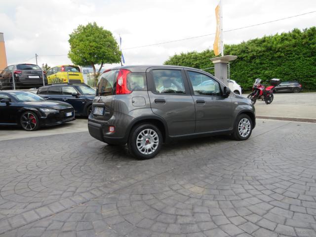 Auto - Fiat panda 1.0 firefly s&s hybrid city life