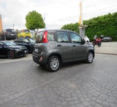 Auto - Fiat panda 1.0 firefly s&s hybrid city life