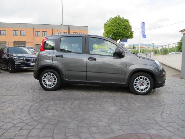 Auto - Fiat panda 1.0 firefly s&s hybrid city life