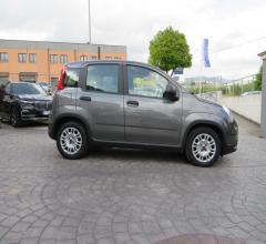 Auto - Fiat panda 1.0 firefly s&s hybrid city life