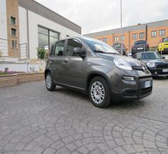Auto - Fiat panda 1.0 firefly s&s hybrid city life