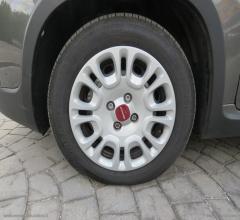Auto - Fiat panda 1.0 firefly s&s hybrid city life