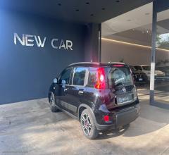 Auto - Fiat panda 1.0 firefly s&s hybrid city life