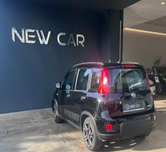 Auto - Fiat panda 1.0 firefly s&s hybrid city life