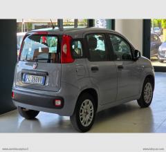 Auto - Fiat panda 1.2 easy