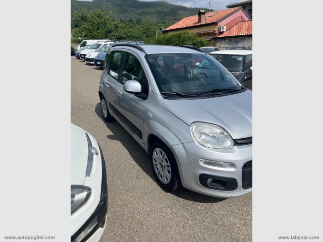 Auto - Fiat panda 1.2 lounge