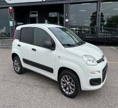 Auto - Fiat panda 1.3 mjt 4x4 pop van 2 posti