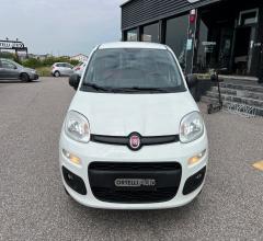 Auto - Fiat panda 1.3 mjt 4x4 pop van 2 posti