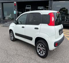 Auto - Fiat panda 1.3 mjt 4x4 pop van 2 posti