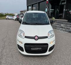 Auto - Fiat panda 1.3 mjt s&s easy van 4 posti