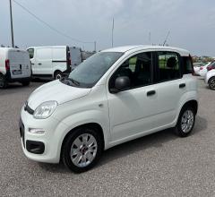 Auto - Fiat panda 1.3 mjt s&s easy van 4 posti