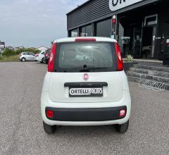 Auto - Fiat panda 1.3 mjt s&s easy van 4 posti