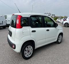 Auto - Fiat panda 1.3 mjt s&s easy van 4 posti