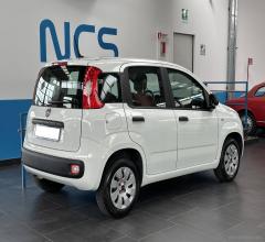Auto - Fiat panda 1.2 pop